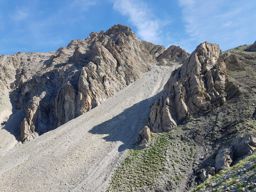 Rando fleurie autour du lac d’Allos