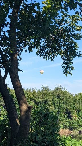 ふと見ると熱気球が飛んで来ました