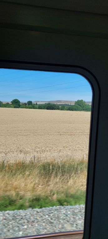 Possibly the Devizes horse we saw.