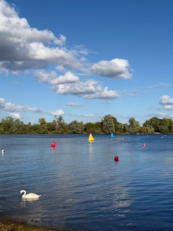 Afternoon Swim - Easy OWS 2000m
