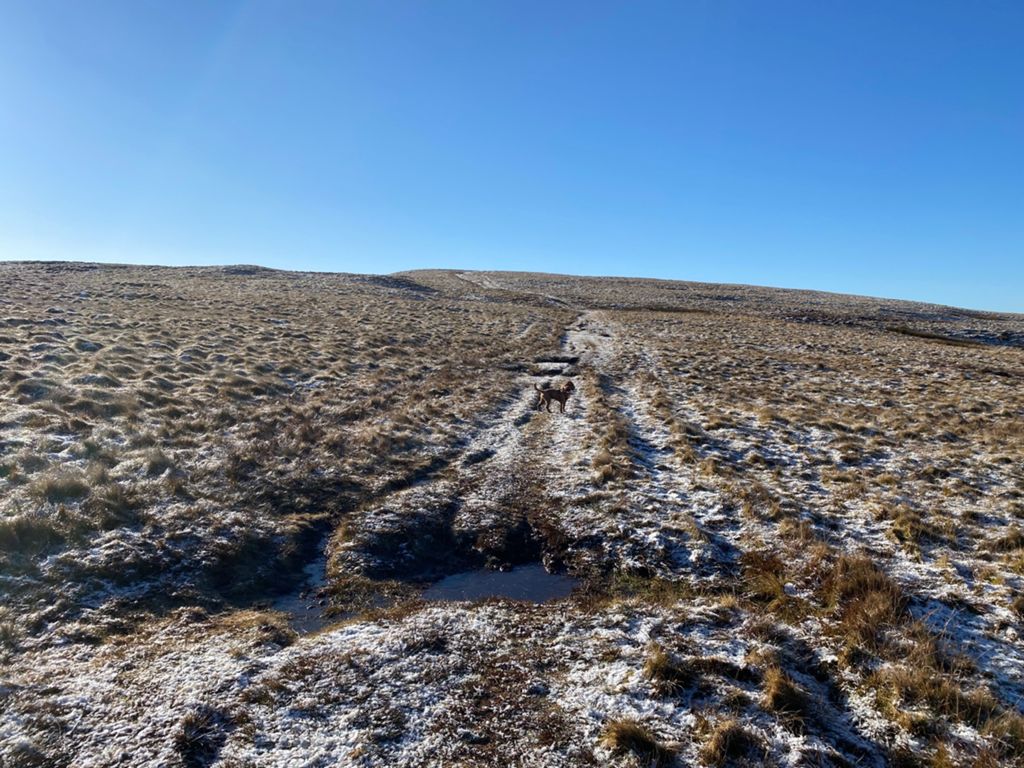 Martindale Hike-6