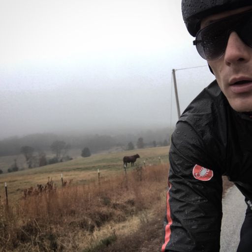 "I've never seen a wild thing feel sorry for itself"