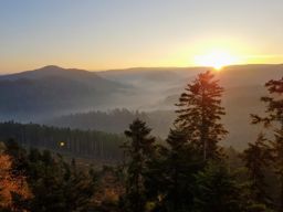 VTT MTB matinal à la Roche des Druides