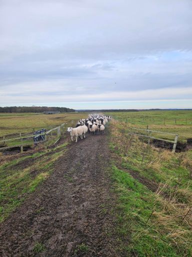 They weren't going to stop!