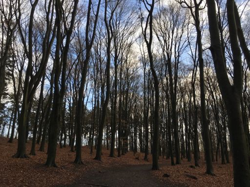Geht doch! Nach dem Regen folgt Sonnenschein!