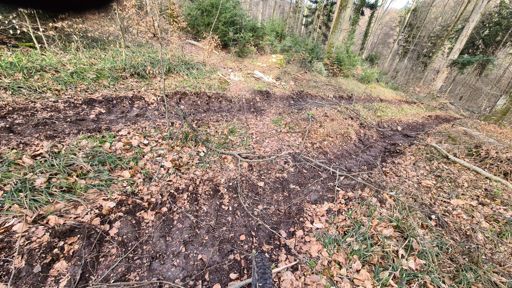 Ich war ein Singletrail