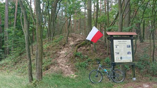 Kopiec Wilsona nieopodal Zaborówca nad jeziorem Moszynek
