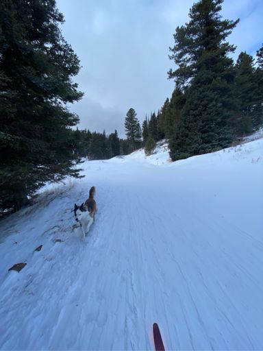 It was a super windy drifting snow kinda day.