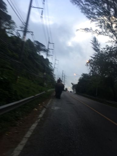 Don’t ride elephants when you come to Thailand. It is pretty cool to ride by them, though.