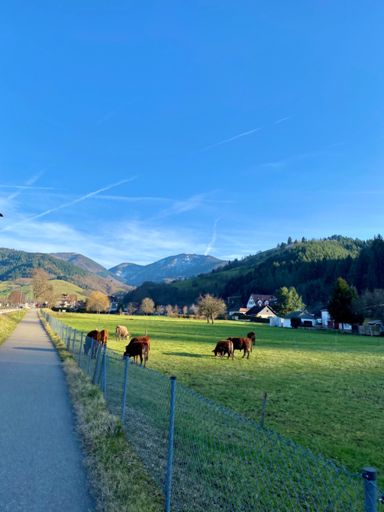 Zurück im Tal🥰