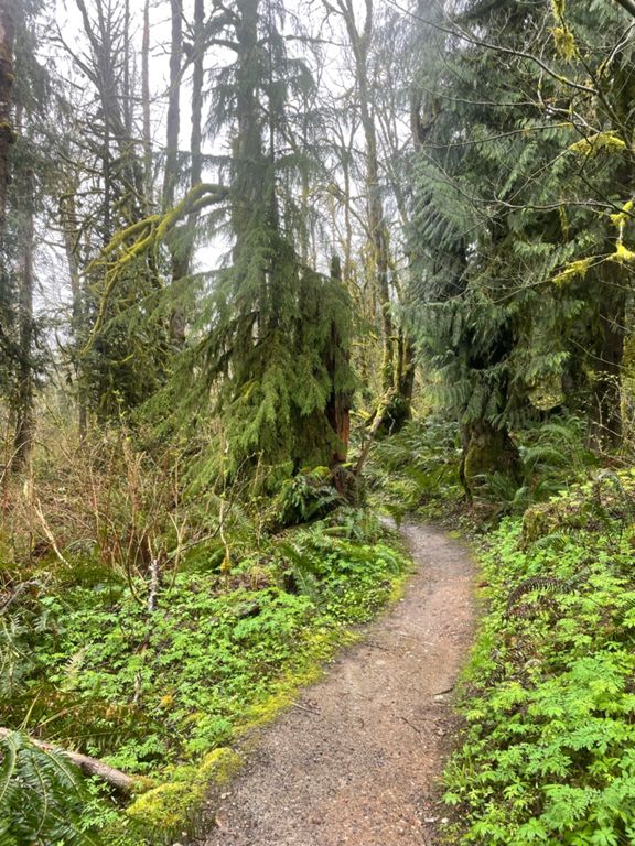 «» — фото 2