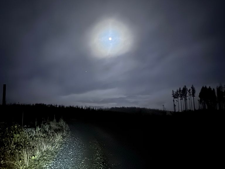 route-highlight