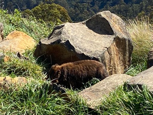 Sharing the view with this little fella 👌👌
