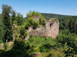 VTT MTB autour de Wangenbourg