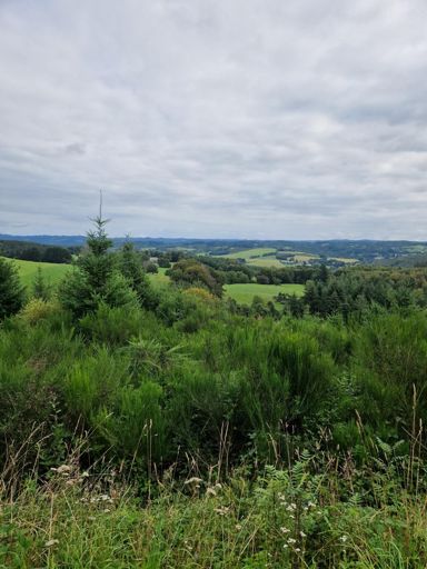 Paysages typiques du Plateau de Millevaches