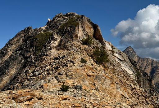 Last scramble to the summit of Hedgehog - Point 7552. 