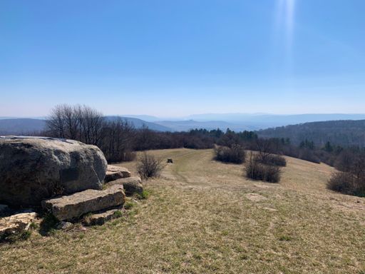 Blick vom Michelberg