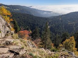 Boucle lac blanc  Hirschteine