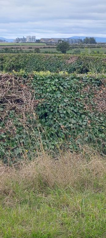 Lorraine was teaching me about farm buildings.