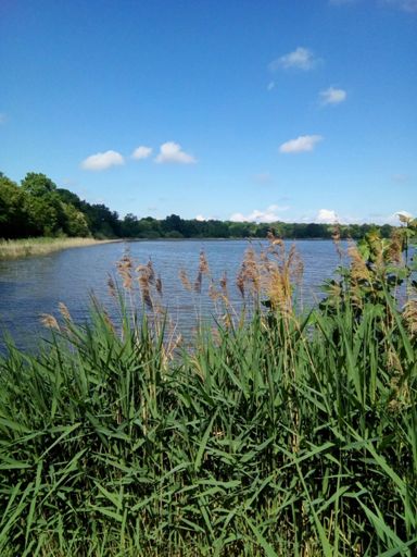 Étang de grand moulin