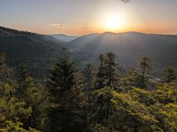 Pierre-piquée Derzognier