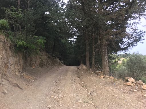 End of the road (top of climb through Zia village)