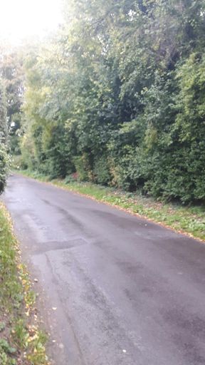 Bad, naughty weather forecast