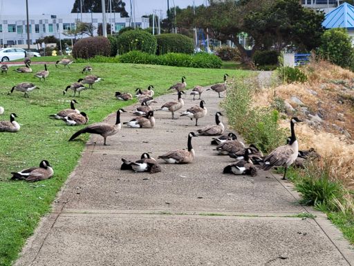 Not in the way at all. And they literally didn't move when I tried to go through, looked at me like wtf are you doing.
