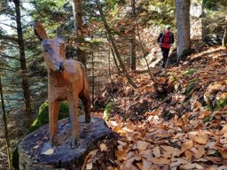 Sortie TRA au Mont Ste Odile