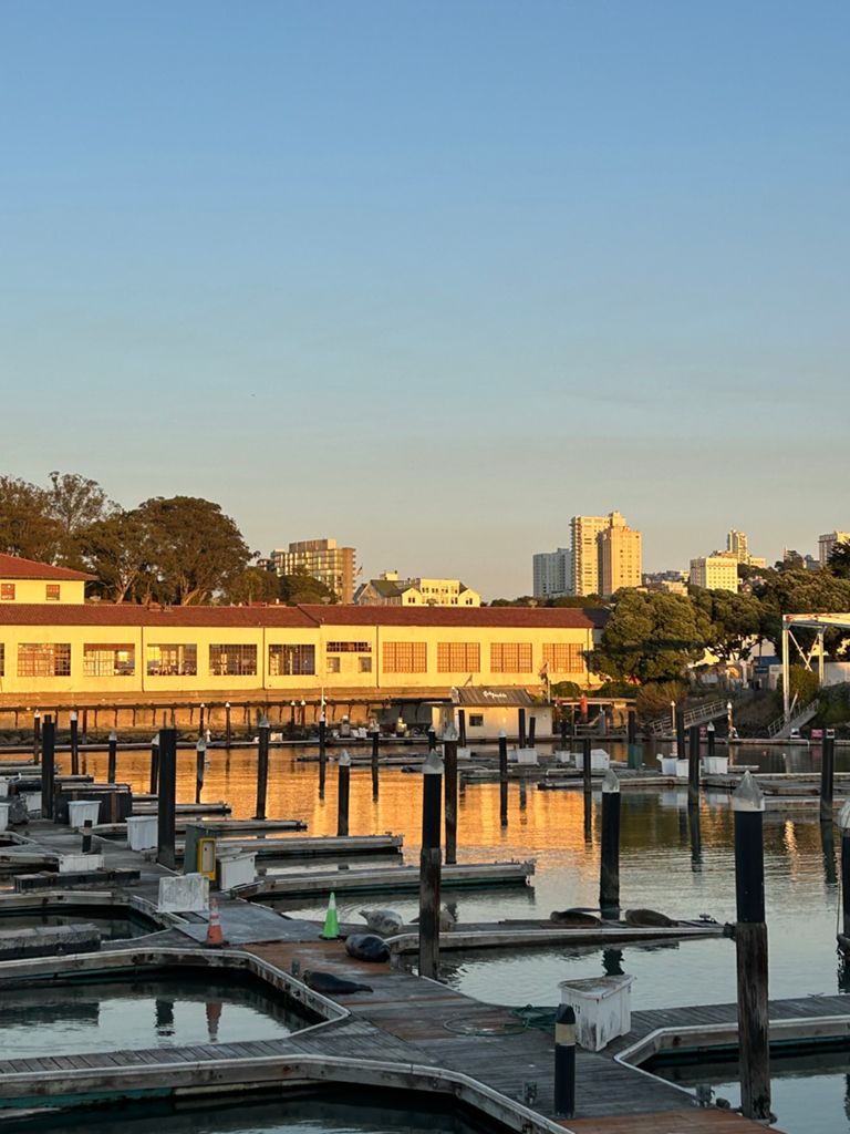 Butterlap (Presidio & Golden Gate Park)的照片 11