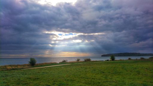 ...und zurück durch den Busch.