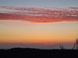 Sortie à vélo le soir