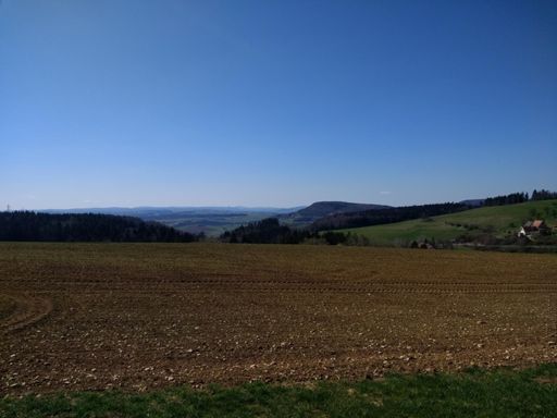 Blick zum schneebedeckten Feldberg