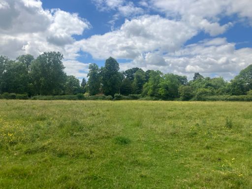 Standing in tile #2, looking back at the main road I'd just walked from