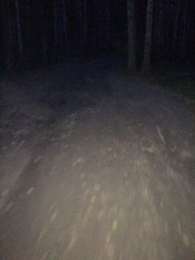 Хорошо что не бегом, ноги бы точно переломал (((