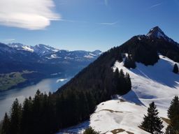 Gotterli, lac des 4 cantons