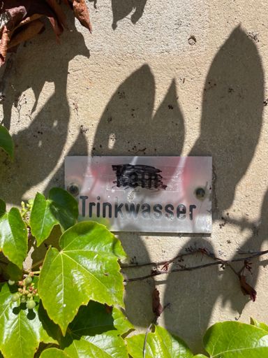 ça m'a mis dans le doute le kein barré mais nsm c'était ça ou la déshydratation