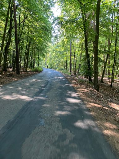 Seit 20.7. warte ich auf die Verifikation meines KOM am Müggelberg durch den Strava Support, nachdem ich zweifach markiert wurde. Mal sehen, wie lange es diesmal dauert. Und ups, jetzt war ich noch ne Sekunde schneller als letztes Mal.