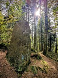 Les deux donons depuis la maison