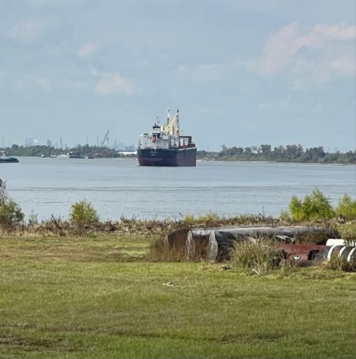 It is always cool to see ocean going ships in a river.  oceangoing ships can travel up the Mississippi River to Baton Rouge, Louisiana, which is about 233 miles from the river's mouth,