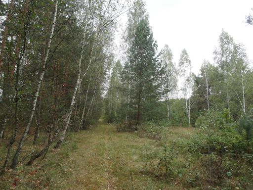 Рыбацкие тропы по обратную сторону озера