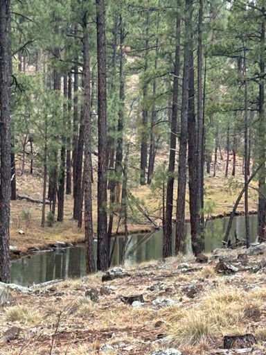 Water; part of the Four Springs I'm assuming. Can't find a name for this particular body of water.