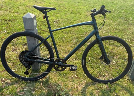 wanted the piss-coloured one (sorry, "burnt gold"), but no one had it in an L. 😢