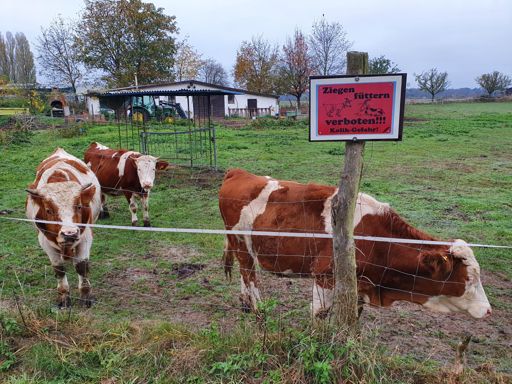 Und was ist mit diesen Hübschen? 🤭