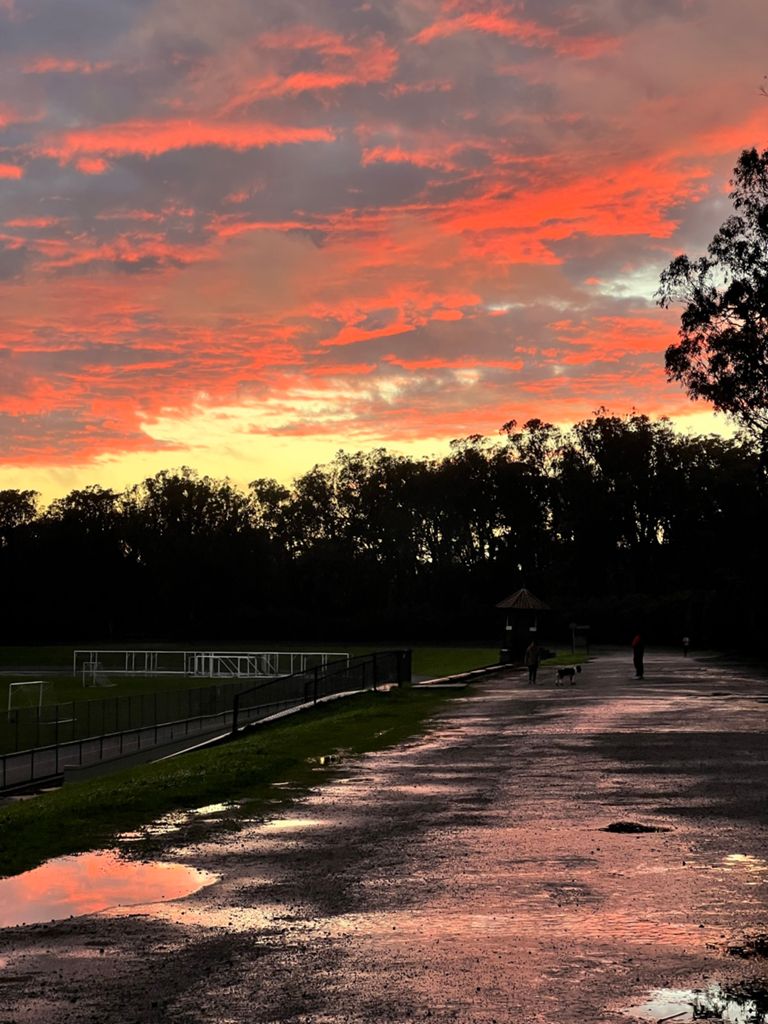 Butterlap (Presidio & Golden Gate Park) photo 20