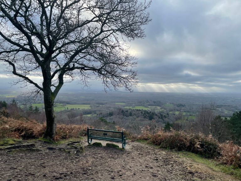 Shere Marathon 42.0 km Running Route on Strava